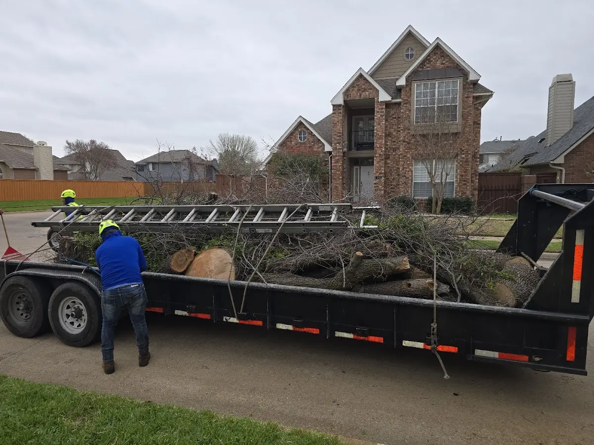 Expert Tree Pest Control with proper safety equipment in Fayetteville